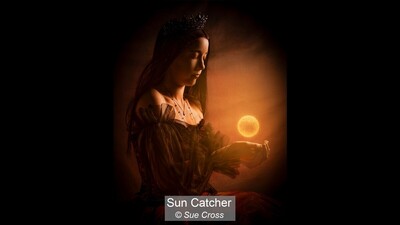 Sun Catcher