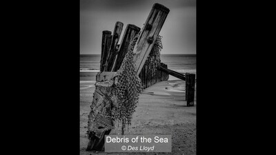 Debris of the Sea