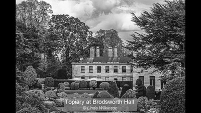 Topiary at Brodsworth Hall