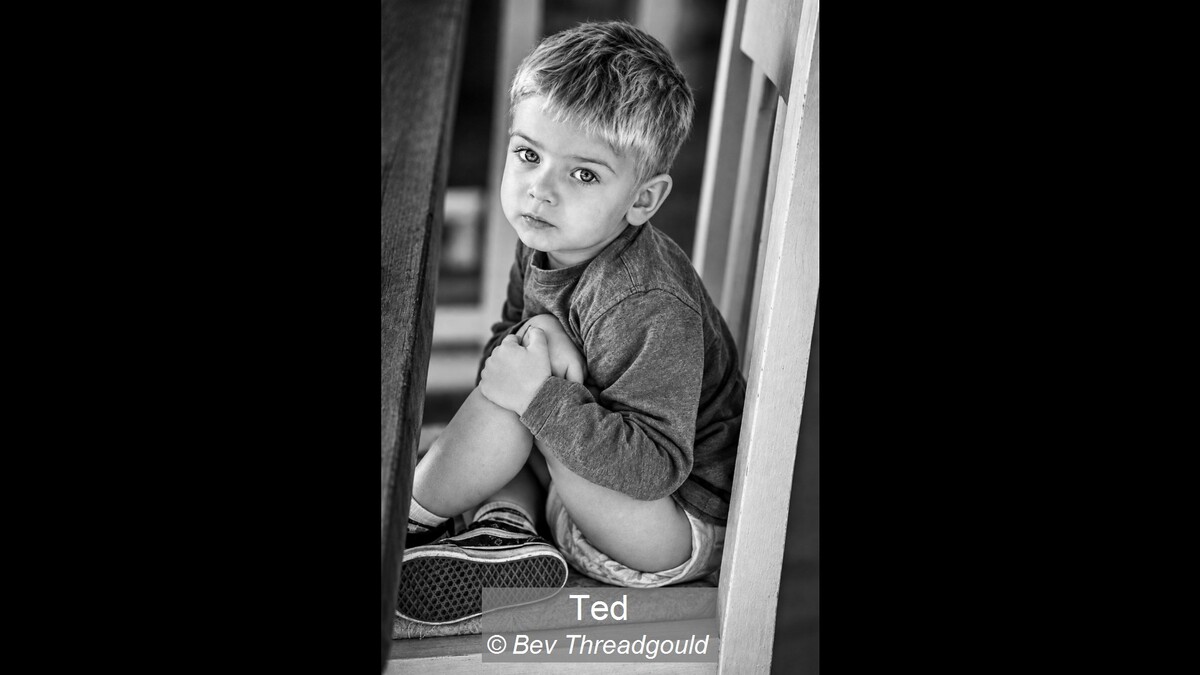 Ted