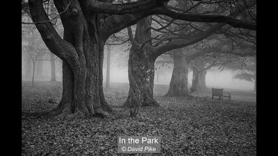In the Park