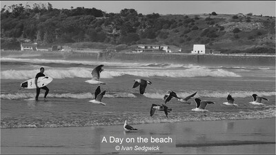 A Day on the beach