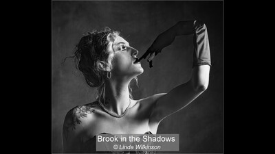 Brook in the Shadows