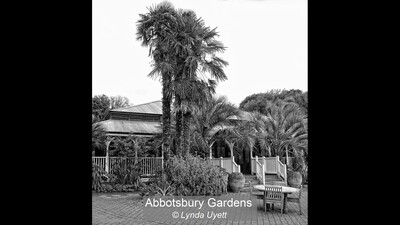 Abbotsbury Gardens