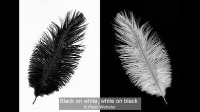 Black on white, white on black