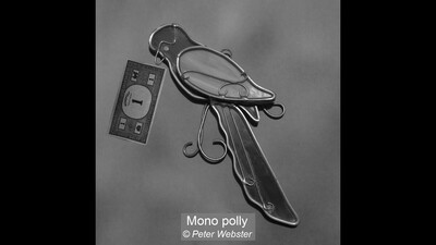 Mono polly