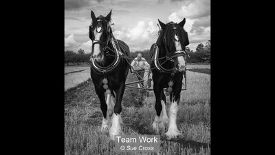 Team Work