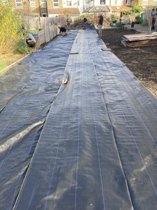 2021-11-07 12-13-55 (2)