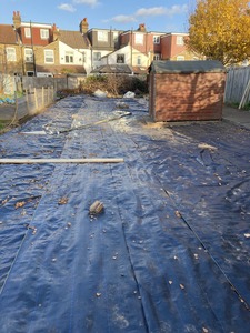 Accessible Plot Project 2021