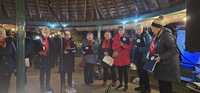 Braintree and Bocking Public Gardens 21.11.25