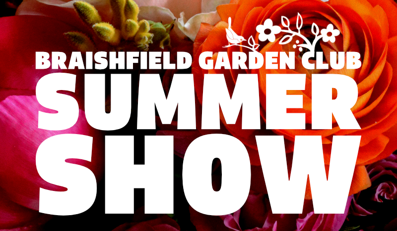 Summer Show 2026 Thumbnail