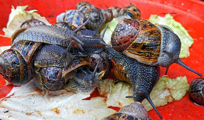 3rd. - Phillip Edmunds