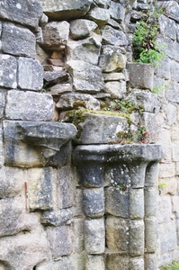 Wall Ruins  Fountains Abbey