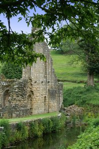 Wall Ruins  Fountains Abbey