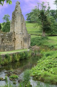 Wall Ruins  Fountains Abbey