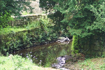 Fountains Abbey water