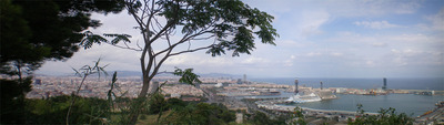Palma View