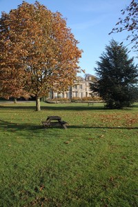 Autumn at Normanby Hall