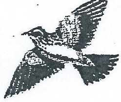 Skylarks