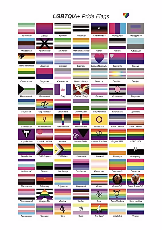 All the LGBTQ+ flags
