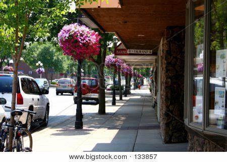 Hanging Baskets