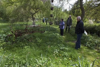 Tilford Cottage garden 2