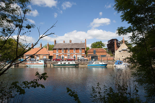 Looking through trees across a wide river to a group of buildings