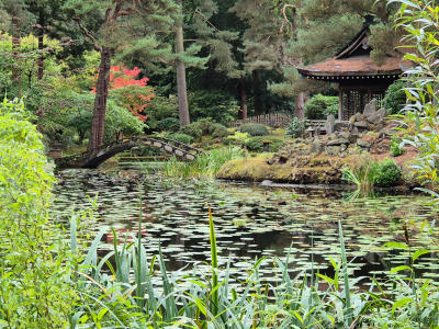 A lake with a Japanese-style building and bridge