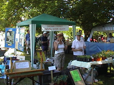 CDNHS stand at the Chesham Bois Village Fete, 10th June, 2006
