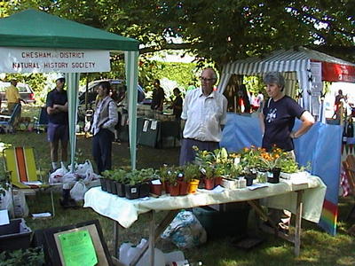 Plant stall at Chesham Bois Village Fete, 10th June, 2006