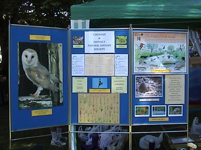 The CDNHS information board at the Chesham Bois Village Fete, 10th June, 2006