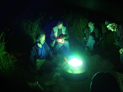 Moth trap at Cowcroft Reserve, 25th July, 2008