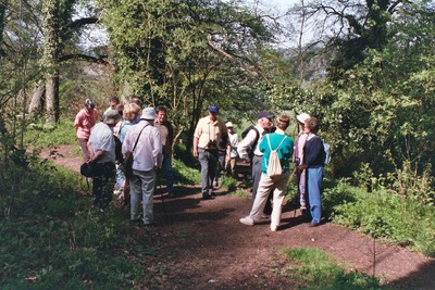Chesham Bois Woods, 24th April, 2004