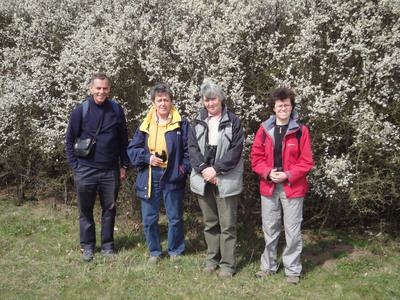 On Nomansland Common, 14 April, 2012