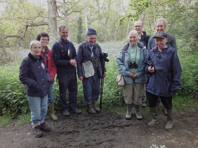 Old Park Wood, 19 May, 2012