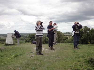 Totternhoe Knolls, 17 June, 2012