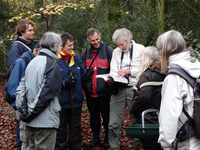 Tony Marshall identifying fungi, Prestwood Common