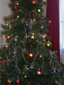 Christmas Coffee and Mince Pies morning at the the Village Hall 2008