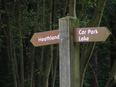 A Black Park parkrun 28 Sep 2019