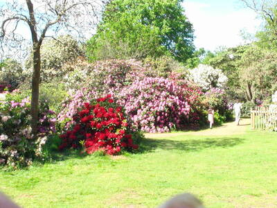 Langley Park 2024-15 May