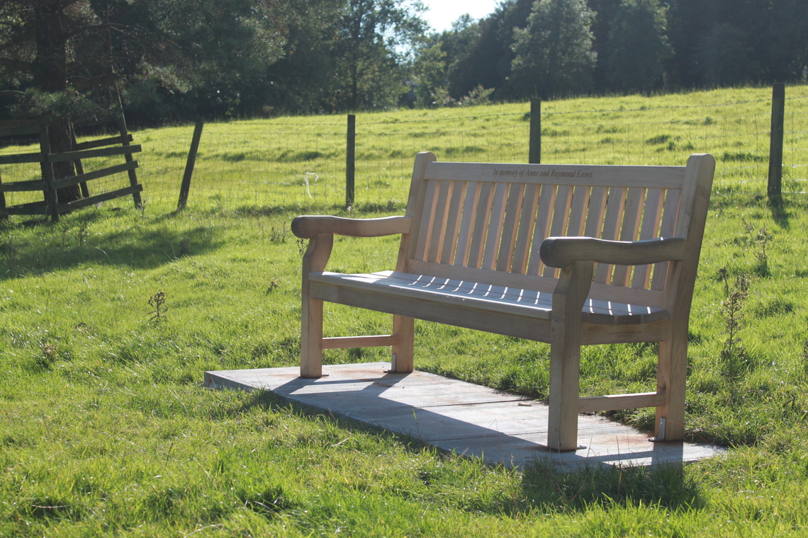 Bench