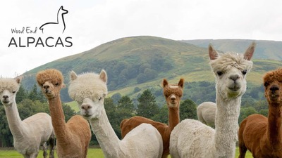 482017499_951747317071898_5454683085113177155_n