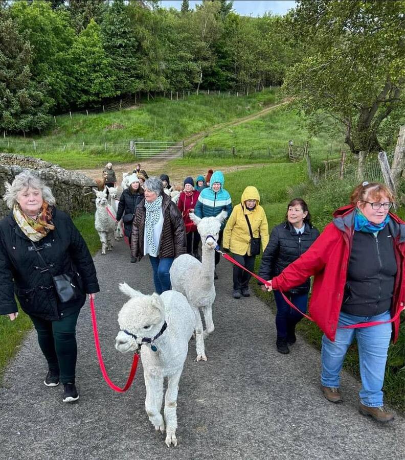 484163485_952381650341798_1341599147355549009_n