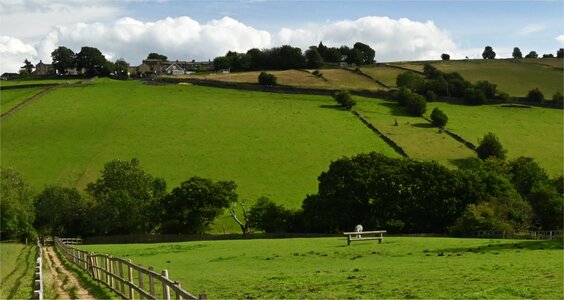 Clayton Footpath Group logo