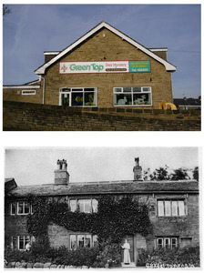 Green Top 2007  1910