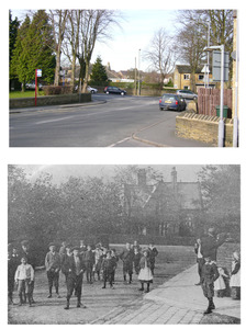 Park Lane   2007   1903