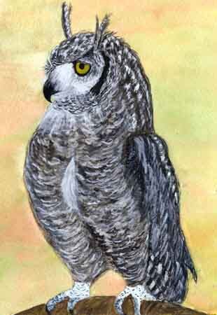 burton owl