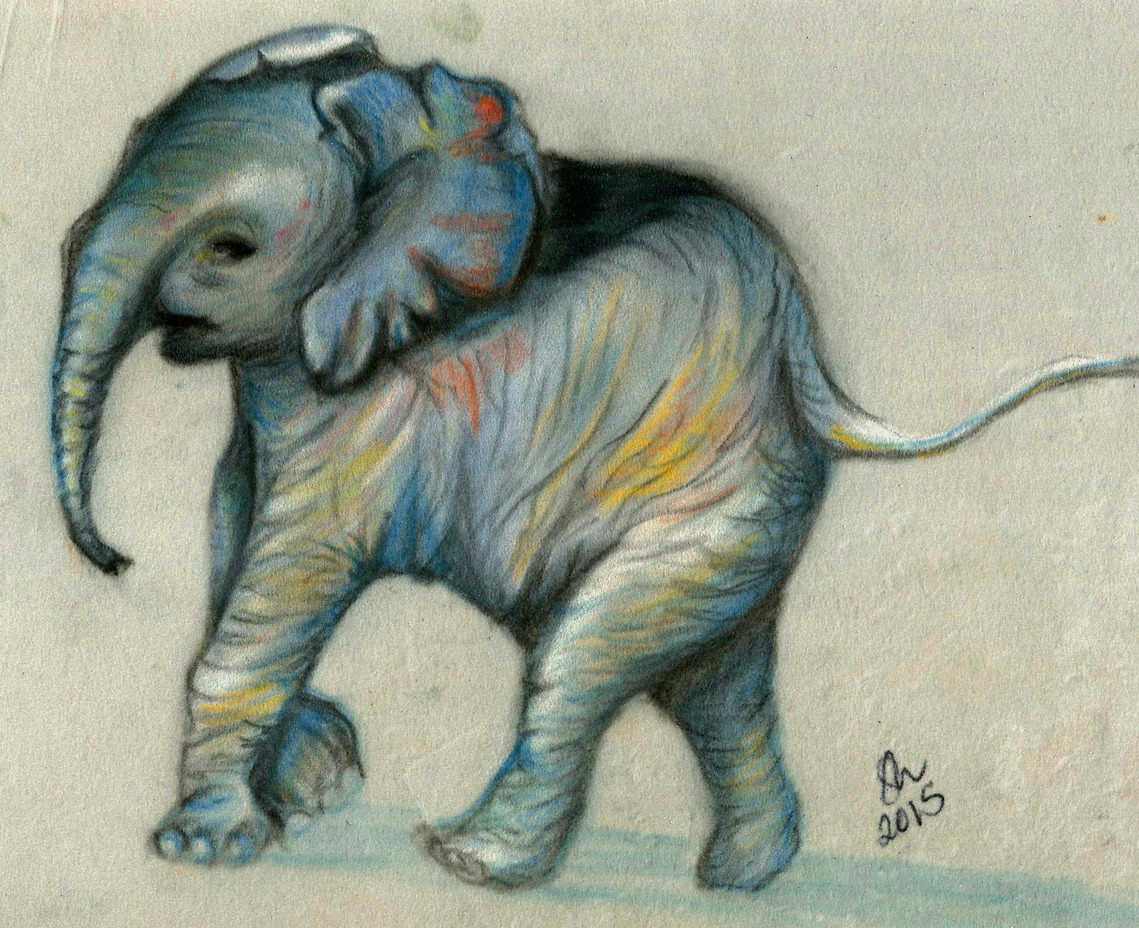 taylor s elephant