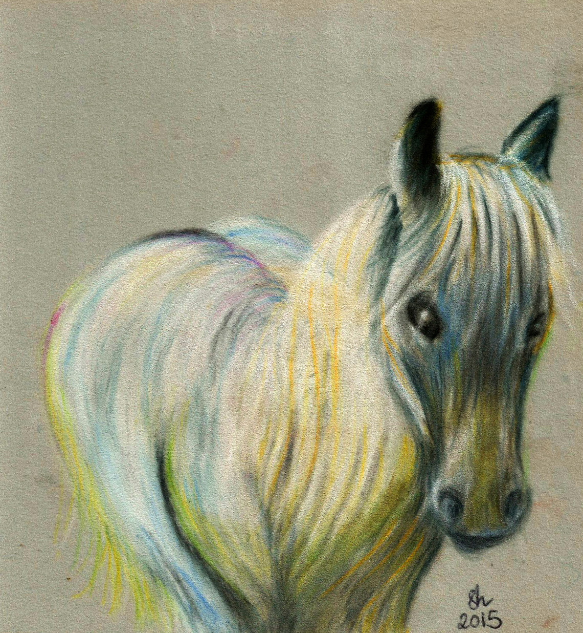 taylor s pony