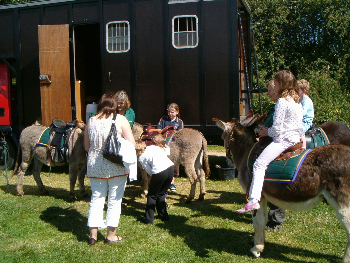 Donkey Rides